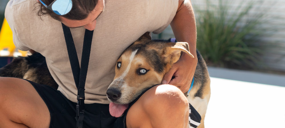 Man and dog