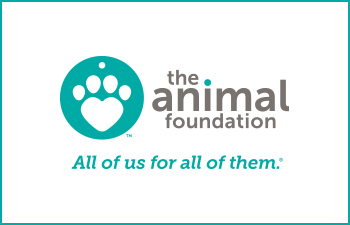 The Animal Foundation Announces Success of Mission: Possible 2020