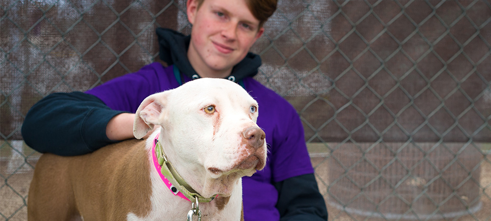 Boy with shelter dog