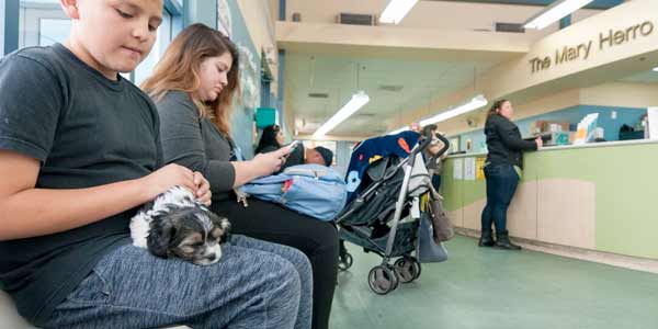 A family waits in a vet clinic