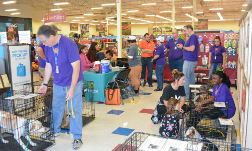 Dog Adoption Event with Volunteers