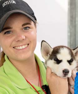 An employee holds a small white dog