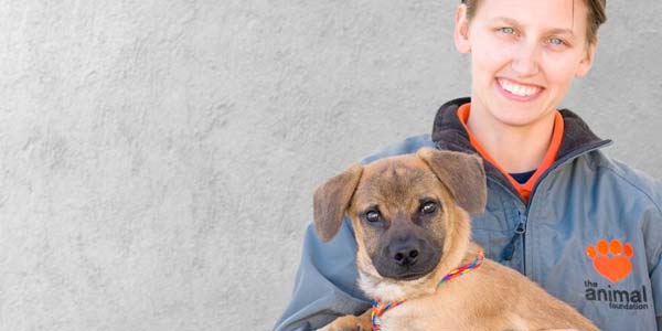 A worker with a rescued puppy