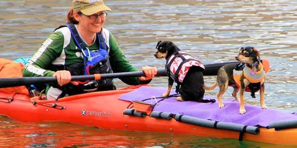 Dogs Kayaking