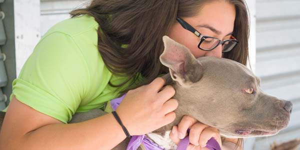 Employee with adoptable dog