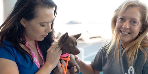 Two employees with a cute small dog