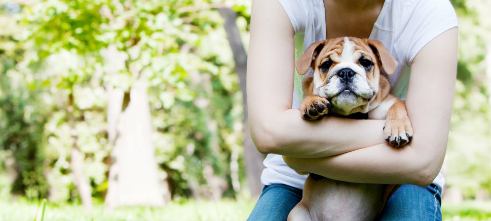 Woman Hugging Dog