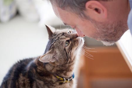 Man nuzzling a cat