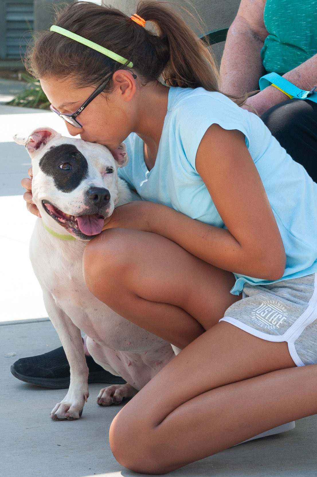 girl kissing black and white dog