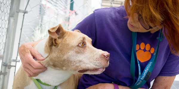 A staff member helps a young dog