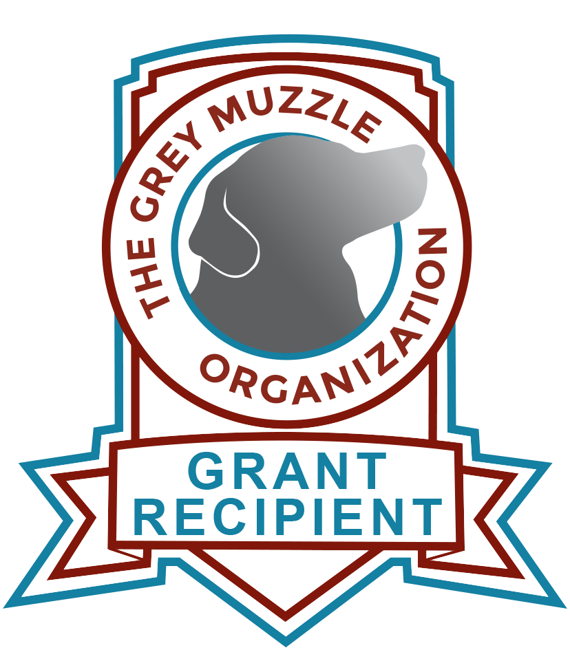 The Grey Muzzle Organization