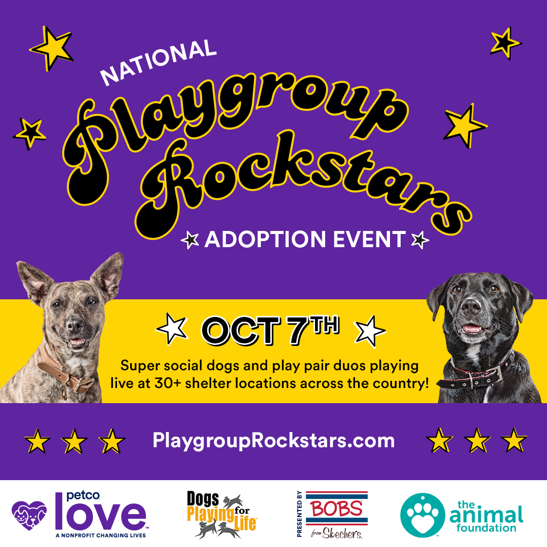 Meet our Playgroup Rockstars